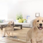 Tính năng theo dõi thông minh ở camera H6C 2K